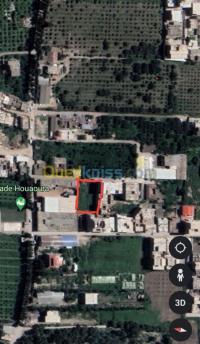 الجزائر-سيدي-موسى-أرض-byaa-ard-aljzaer-sydy-mos