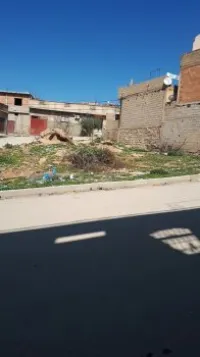 Vente Terrain Tlemcen Chetouane