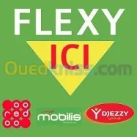 puces de felexy