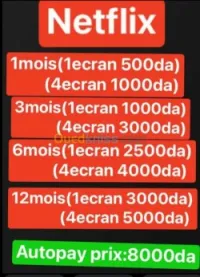 حسابات نتفليكس 