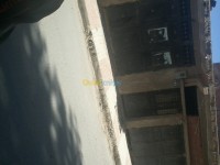 سعيدة-الجزائر-هيكل-vente-carcasse-saida