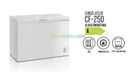 PROMOTION CONGELATEUR IRIS 100L 255L