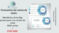 Cartes de visite