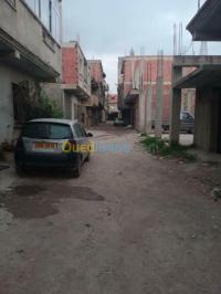 الجزائر-الكاليتوس-أرض-vente-terrain-alger-les-eucalyptus