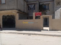 الجزائر-الكاليتوس-طب-و-صحة-medecin