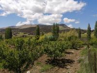 باتنة-الجزائر-أرض-فلاحية-byaa-ard-flahy-batn
