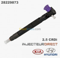 alger-bab-ezzouar-algerie-pièces-moteur-injecteur-kia-hyundai-k2500-et-h100