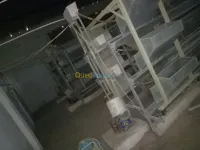 باطري دجاج 5000 دجاجة