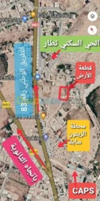 Vente Terrain Tebessa Hammamet