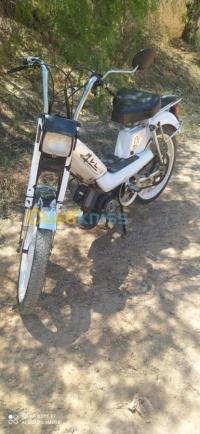 الشلف-أولاد-عباس-الجزائر-دراجة-نارية-سكوتر-peugeot-mvl-2008