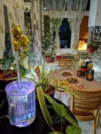 Location Appartement F3 Mostaganem Mostaganem