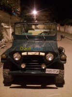 annaba-algerie-tout-terrain-suv-jeep-crapotage-4-1977