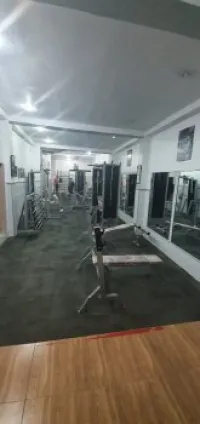 Matériel musculation