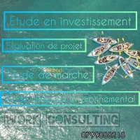 دراسة جدوى المشاريع