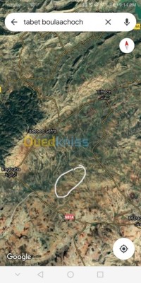 سوق-أهراس-الراقوبة-الجزائر-أرض-فلاحية-kra-ard-flahy-sok-ahras-alrakob