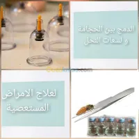 العلاج بسم النحل حجامة. تجميل. 
