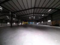Location Hangar Oran Es senia