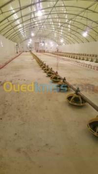 سطيف-العلمة-الجزائر-صناعة-و-تصنيع-صناعت-بيوت-تربيت-الخيوانات