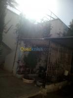 laghouat-algerie-appartement-vente-f3