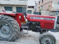 skikda-collo-algerie-tracteurs-385-massey-ferguson-2015