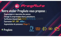 alger-birkhadem-algerie-réparation-auto-diagnostic-désactivation-egr-fap-adblue-garentie