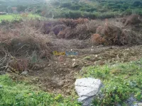 Vente Terrain Tizi ouzou Tigzirt