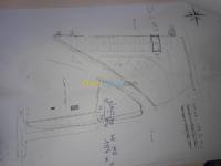 جيجل-الجزائر-أرض-فلاحية-vente-terrain-agricole-jijel