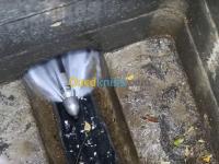 تنظيف-و-بستنة-تنضيف-وتسريح-بن-عكنون-الأبيار-حيدرة-الجزائر