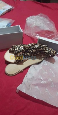 البليدة-بوينان-الجزائر-صنادل-sandelle