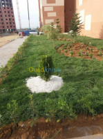 boumerdes-algerie-nettoyage-jardinage-espace-vert