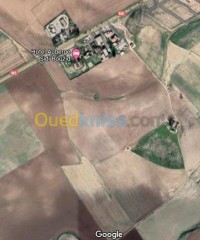 ميلة-شلغوم-العيد-الجزائر-أرض-byaa-ard-myl-shlghom-alaayd