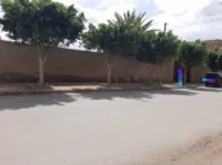 Vente Terrain Oran Oran