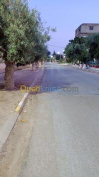 سيدي-بلعباس-بوخنيفيس-الجزائر-أرض-byaa-ard-sydy-blaabas-bokhnyfys