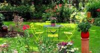 الجزائر-بئر-خادم-تنظيف-و-بستنة-jardinage