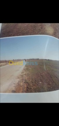 معسكر-مطمور-الجزائر-أرض-فلاحية-vente-terrain-agricole-mascara-matemore