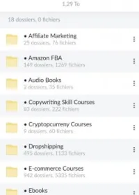 cours e-commerce dropshipping