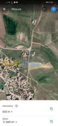 سطيف-العلمة-الجزائر-أرض-byaa-ard-styf-alaalm