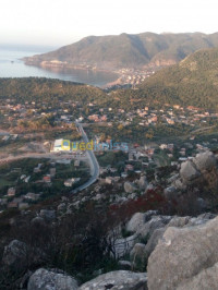 jijel-ziama-mansouriah-algerie-niveau-de-villa-location-vacances-f2