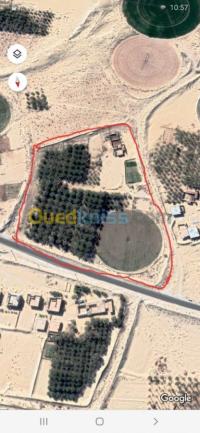 الوادي-ورماس-الجزائر-أرض-byaa-ard-aloady-ormas
