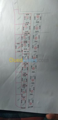 أرض-بيع-الجزائر-درارية