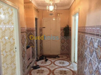 appartement-location-f3-chlef-tenes-algerie