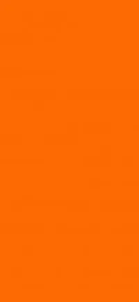 Faux Ongles - Réutilisables 