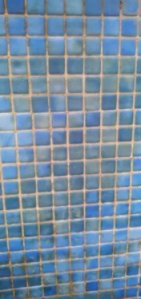 nettoyage piscines