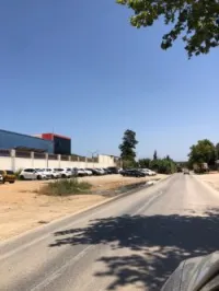 Vente Terrain Tipaza Kolea