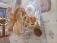 Gateaux