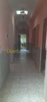 ain-temouchent-tolba-algerie-niveau-de-villa-vente-f2