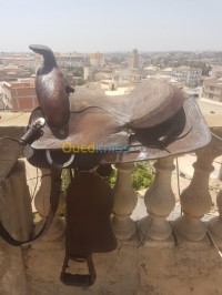 الجزائر-الحراش-أكسسوارات-للحيوانات-2-selle-cowboy-سرج-كوبوي