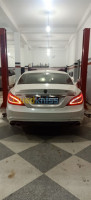 mila-chelghoum-laid-algerie-réparation-auto-diagnostic-mercedes-cls-désactivation-fap-egr