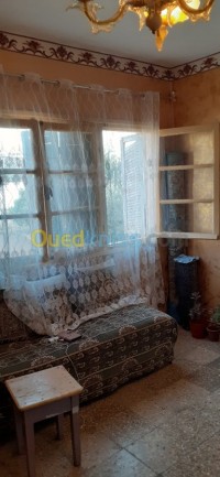 تلمسان-الحنايا-الجزائر-شقة-byaa-shk-3-ghrf-tlmsan-alhnaya