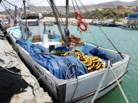 chlef-tenes-algerie-bateaux-barques-sardinier-14m-30-2016